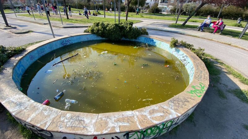 Θράσος Τσαμασλή για το χάλι της φωτογραφίας: “Να μην ανησυχείτε καθόλου”