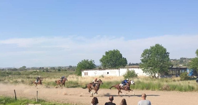 Πλούσιο θέαμα στους ιππικούς αγώνες της Επανομής!