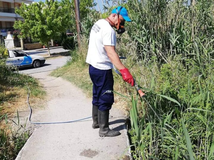 Ψεκασμοί κατά των κουνουπιών