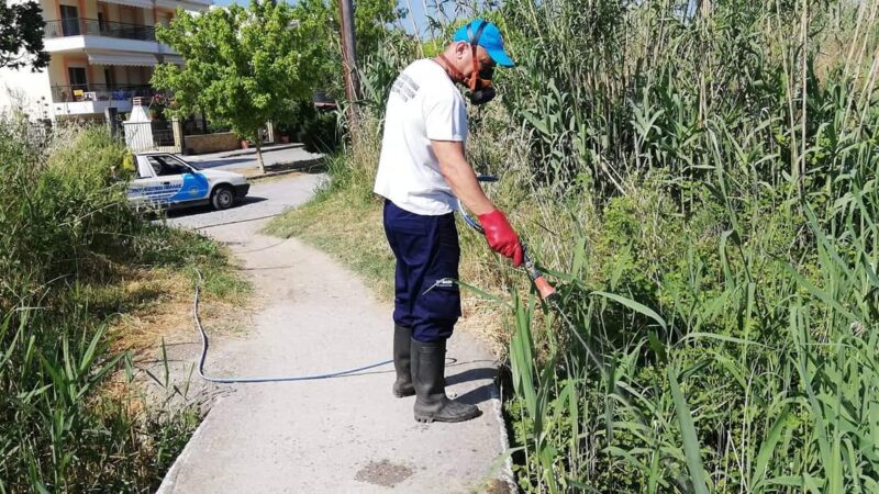 Ψεκασμοί κατά των κουνουπιών