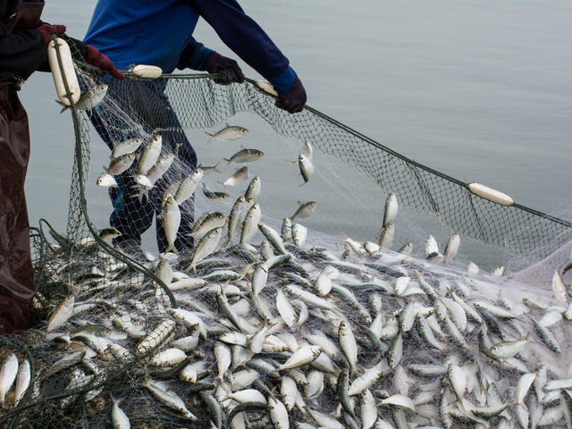 Ενδιαφέρει την περιοχή μας: Υποβολή αιτήσεων χρηματοδότησης για την αλιεία