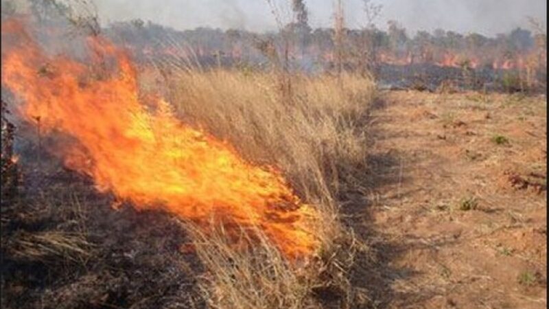 Εσβησε η φωτιά στο Αγγελοχώρι-Κάηκαν καλαμιές