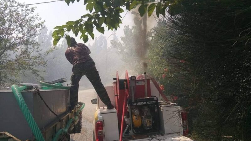 Φωτιά στο Μεσημέρι, χωρίς παρατράγουδα…