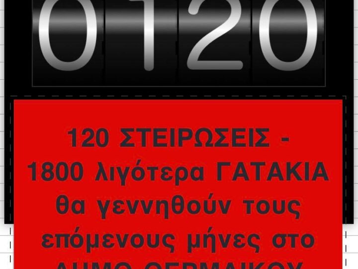 Σείριος: 120 στειρώσεις, 1800 γατάκια λιγότερα στον Δήμο Θερμαϊκού