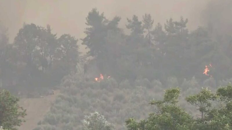 Ο Θεός να βάλει το χέρι του- Φεύγει προς την κεντρική Εύβοια η φωτιά-Τρέχουν να σωθούν οι κάτοικοι (ΒΙΝΤΕΟ)