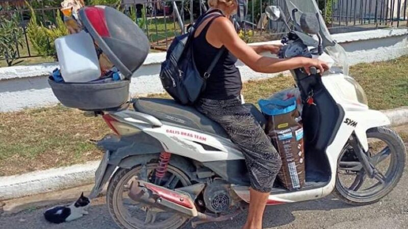 Η Ντίνα του Αγγελοχωρίου και τα αδέσποτα