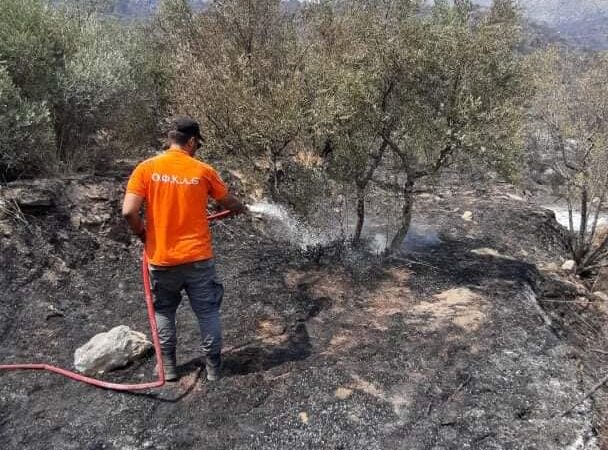 Οι μάχες του ΟΦΚΑΘ στη Λακωνική Μάνη