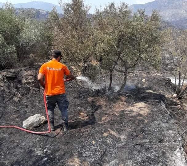 Οι μάχες του ΟΦΚΑΘ στη Λακωνική Μάνη