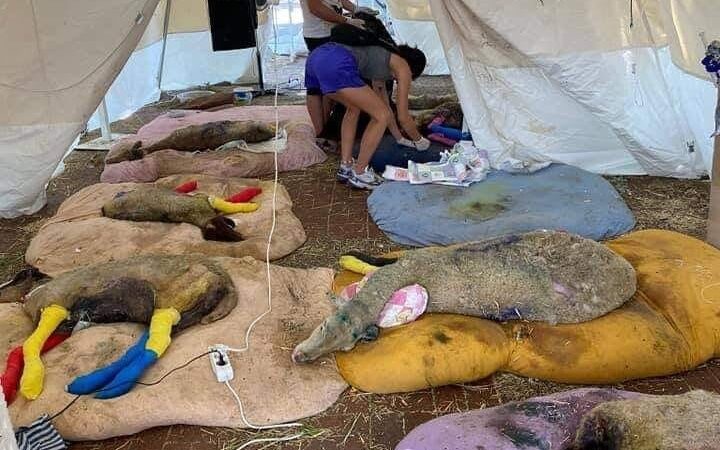 Συγκλονιστική εικόνα: Αλληλεγγύη παντού…