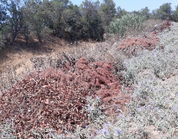 SOS: Ενεργή “βόμβα” το βουλωμένο ρέμα της Αγ. Μαρίνας στην Παραλία Επανομής