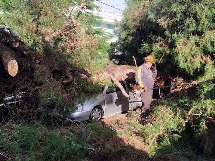 Επεσαν δέντρα πάνω σε αυτοκίνητο στην Αγία Τριάδα