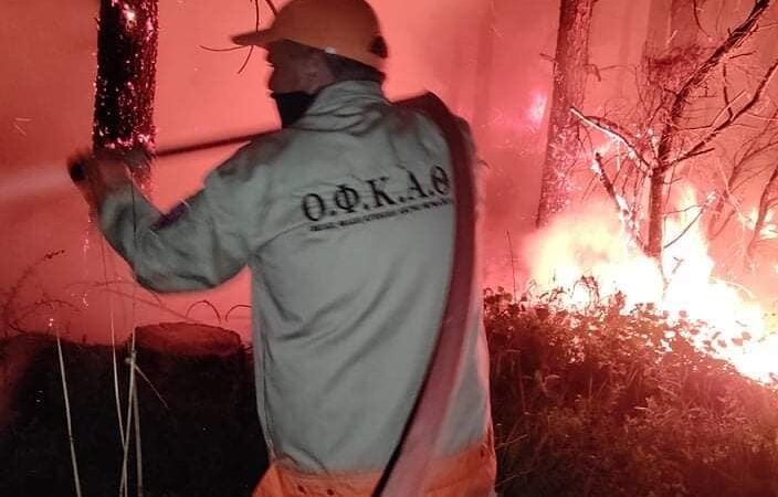 Ο απολογισμός του ΟΦΚΑΘ