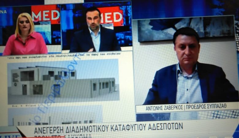 Ζαβέρκος στη “Βεργίνα Τηλεόραση”: “Ενα όνειρο πολλών χρόνων για τα αδέσποτα γίνεται πραγματικότητα” (ΒΙΝΤΕΟ)