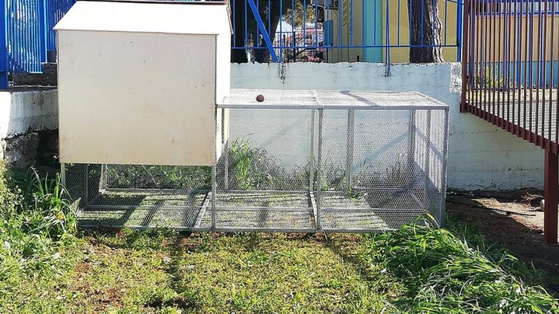 Εκπαιδευτικό κοτέτσι στο Ειδικό Δημοτικό Σχολείο Θερμαϊκού