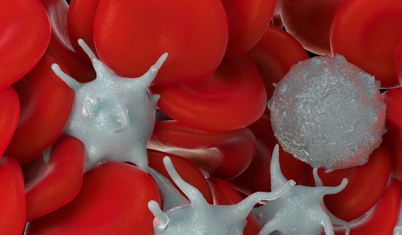SOS: Αιμοδοσία για κοπέλα 34 ετών με οξεία λευχαιμία από τη Μηχανιώνα