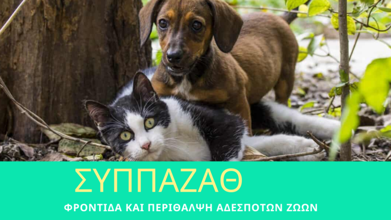 Εκπομπή για τον ΣΥΠΠΑΖΑΘ απόψε στην TV100