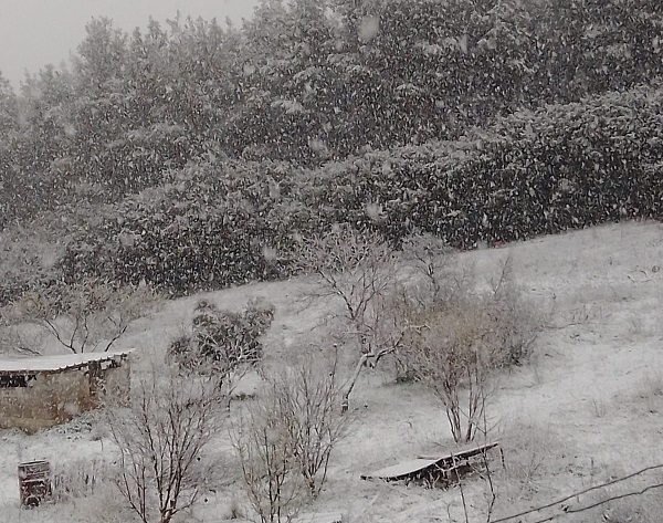 Χιόνια γύρω-γύρω από την Θεσσαονίκη-Ούτε νιφάδα στον Θερμαϊκό