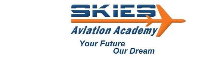 Skies Aviation