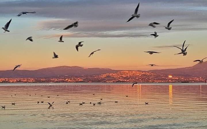 Η ΣΤΗΛΗ ΤΗΣ ΕΙΚΟΝΑΣ: Χορευτικές φιγούρες…
