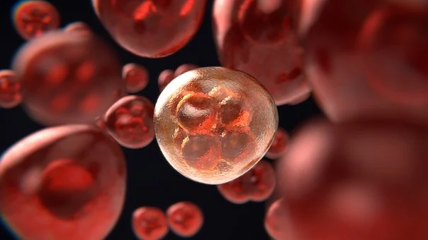 «Επαναστατικός» ιός σκοτώνει τα καρκινικά κύτταρα – Οι πρώτες δοκιμές σε άνθρωπο (BINTEO)