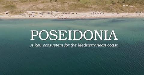 Αύριο στον Ποταμό (Ακτή Ρετζίκα): Θημώνες Ποσειδωνίας-Ενα οικοσύστημα “θησαυρός” για τις μεσογειακές ακτές