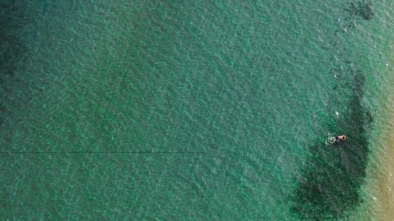 ΤΩΡΑ για μπάνιο στο “Palmera”…