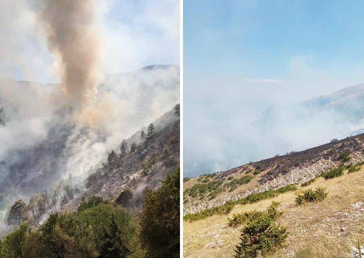 Καίγεται το δάσος της Βορείου Ηπείρου-Ολιγωρούν οι Αλβανοί