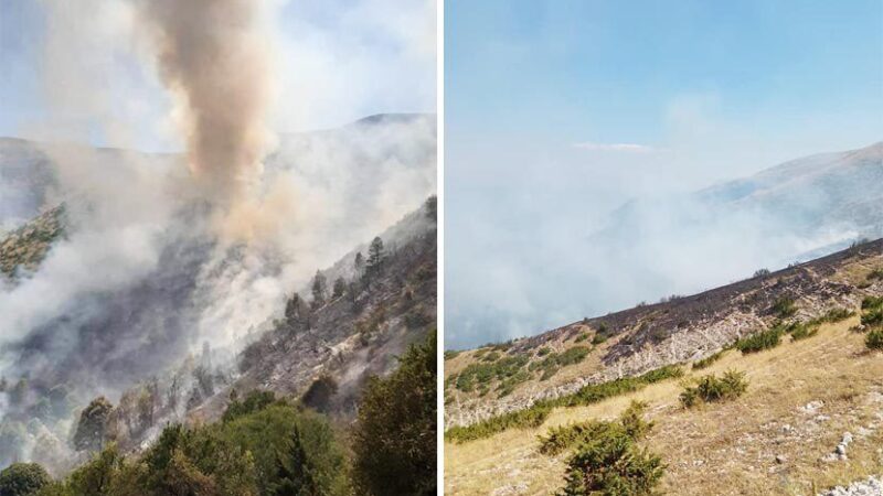 Καίγεται το δάσος της Βορείου Ηπείρου-Ολιγωρούν οι Αλβανοί