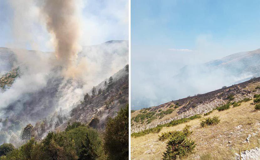 Καίγεται το δάσος της Βορείου Ηπείρου-Ολιγωρούν οι Αλβανοί