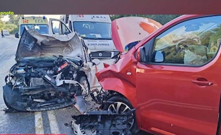 Σφοδρό τροχαίο στη Χαλκιδική-Αρκούδα συγκρούστηκε με αυτοκίνητο στην Κοζάνη (ΒΙΝΤΕΟ)
