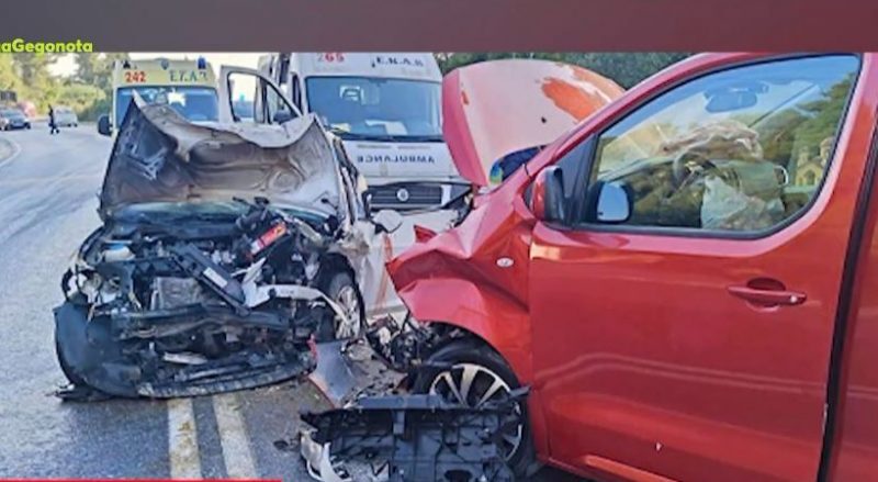Σφοδρό τροχαίο στη Χαλκιδική-Αρκούδα συγκρούστηκε με αυτοκίνητο στην Κοζάνη (ΒΙΝΤΕΟ)