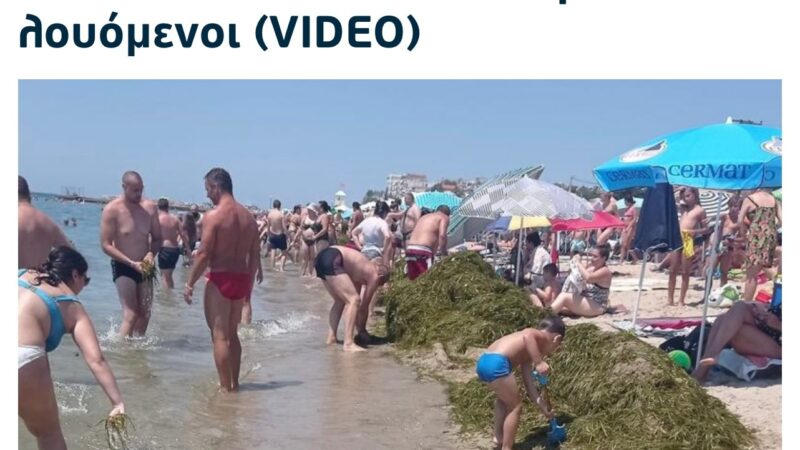 Ας συγκριθούμε: Βουνό από φύκια σε παραλίες της Χαλκιδικής…