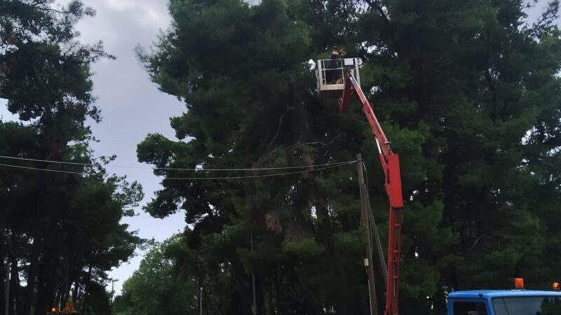 Σχεδόν “αλώβητος” ο Δήμος από την κακοκαιρία