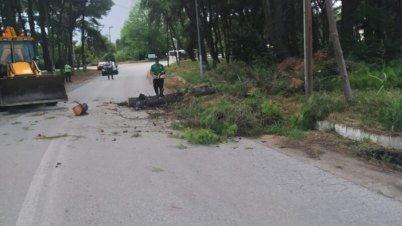 Ανοιξε ο δρόμος προς την Παραλία Επανομής