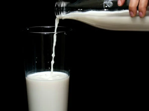 Γάλα με το… σταγονόμετρο – Φόβοι για ελλείψεις λόγω ακριβών ζωοτροφών