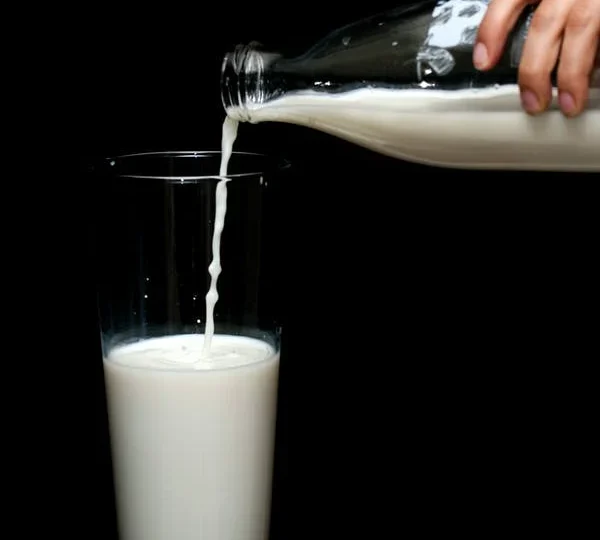 Γάλα με το… σταγονόμετρο – Φόβοι για ελλείψεις λόγω ακριβών ζωοτροφών
