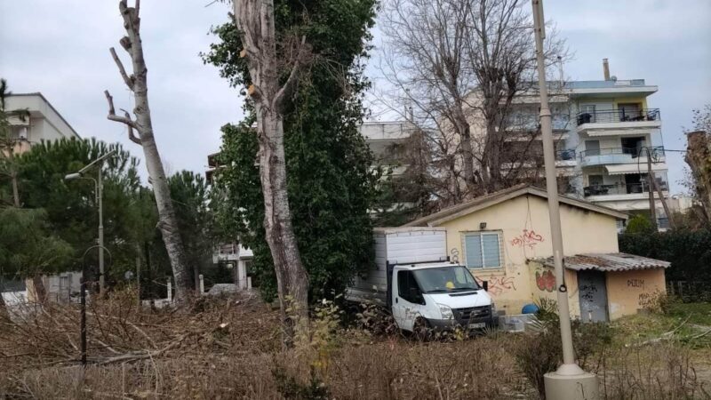 Κλαδέματα στην Περαία (ΦΩΤΟ+ΒΙΝΤΕΟ)