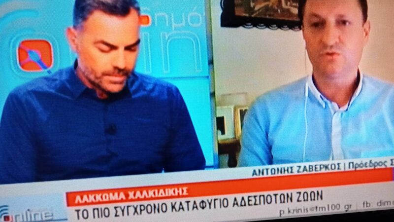 Ζαβέρκος: “Ετοιμο προς ανέγερση το μεγαλύτερο και πιο σύγχρονο καταφύγιο αδέσποτων στην Ελλάδα” (ΒΙΝΤΕΟ)