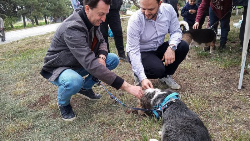 ΣΥΠΠΑΖΑΘ: Εκλεψε τις εντυπώσεις το bazzar αδέσποτων ζώων στην Καλαμαριά (ΦΩΤΟΡΕΠΟΡΤΑΖ+4 ΒΙΝΤΕΟ)