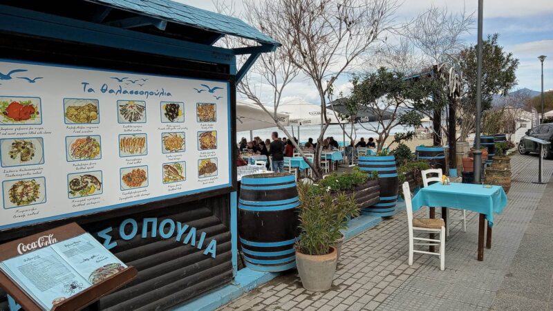 “Θαλασσοπούλια”…για ότι τραβάει η ψυχή σας!
