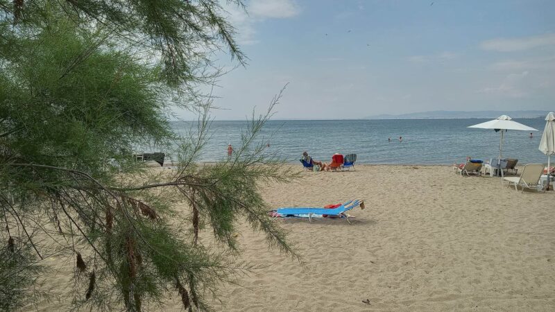 Περαία: Παρά τον καιρό ο κόσμος βουτάει…