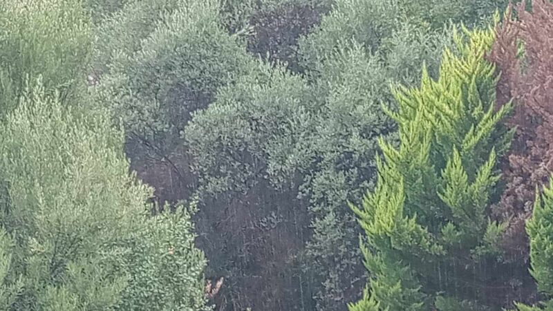 ΤΩΡΑ: Το σύννεφο έφερε ισχυρή βροχή στον Δήμο μας (ΒΙΝΤΕΟ)