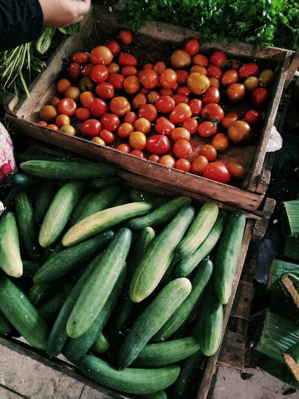 Οι επιπτώσεις των καταστροφών: Τι δίνει ο θεσσαλικός κάμπος – Θα ακριβύνουν ντομάτες, αχλάδια, αμύγδαλα και πολλά άλλα…(ΒΙΝΤΕΟ)