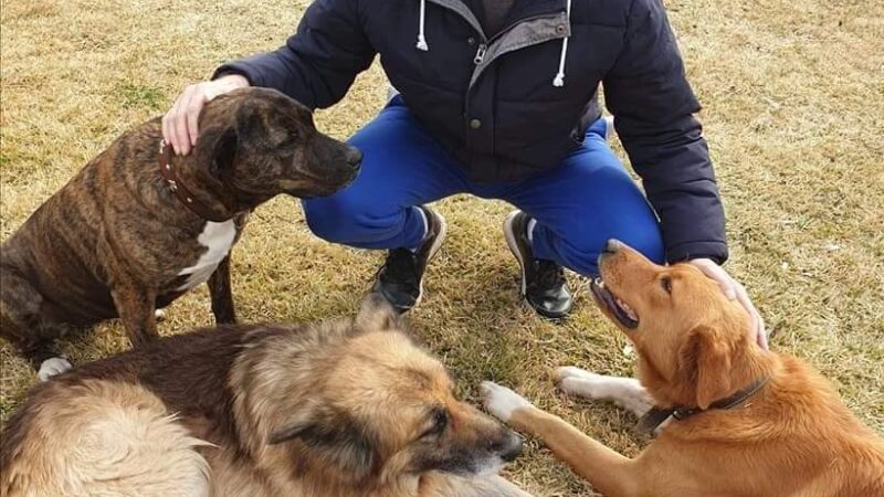 Με “σφραγίδα” Ζαβέρκου: Άρχισε η θεμελίωση του καταφυγίου για τα αδέσποτα ζώα στο Λάκκωμα