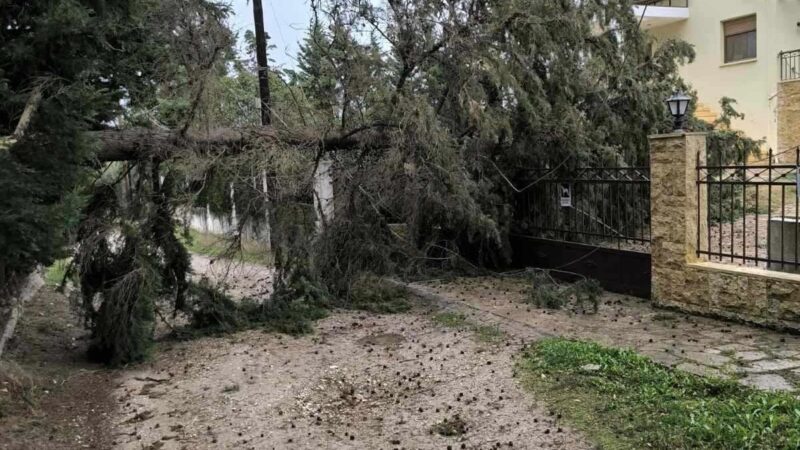 Αφησε σημάδια ο “ανεμοστρόβιλος” που έπληξε Μηχανιώνα και Κερασιά-Δήλωση Τζέκου