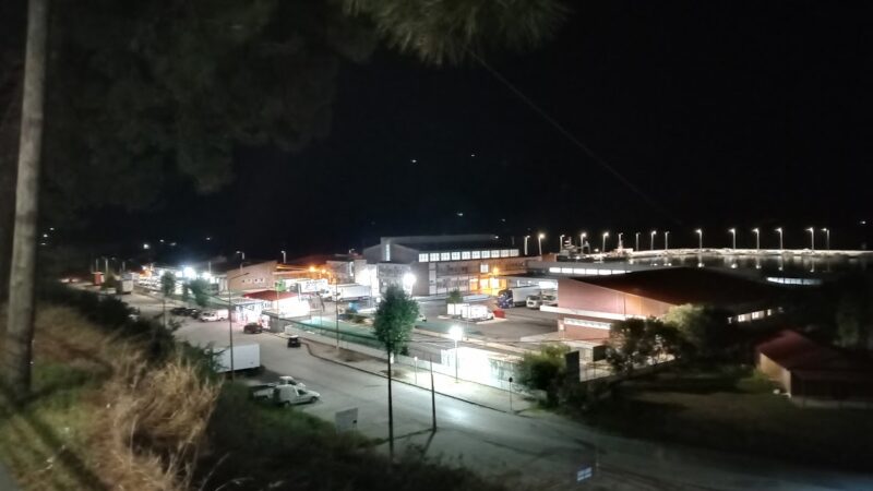 Μία νύχτα στην ιχθυόσκαλα της Μηχανιώνας (ΒΙΝΤΕΟ)