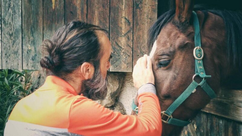 Οι ιστορίες μαρτυρίου έχουν ένα καλό… είναι ιστορίες (BINTEO)