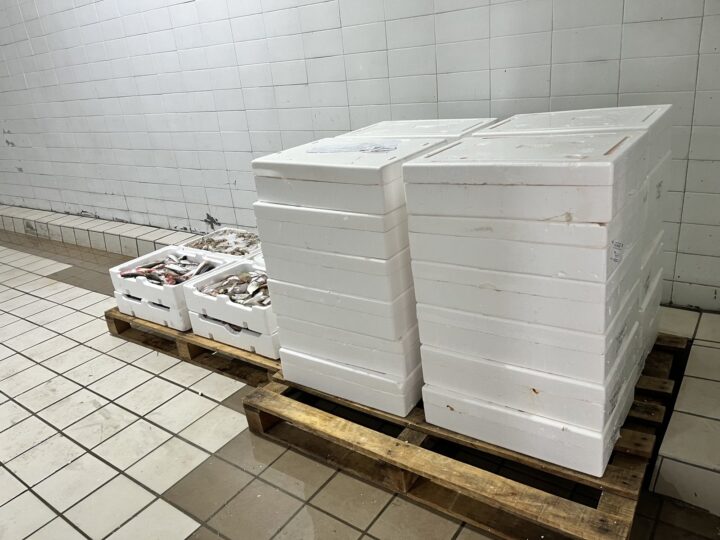 Ιχθυόσκαλα: Κατασχέθηκαν 256 κιβώτια με ψάρια και μαλάκια