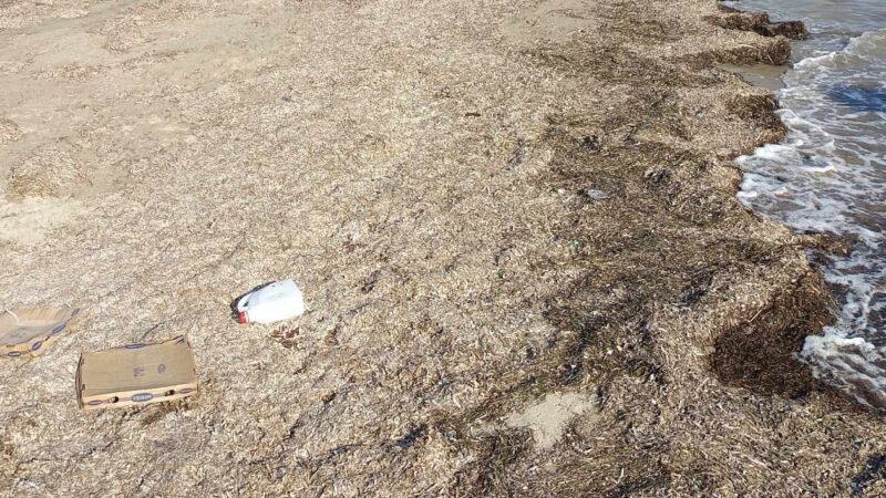 Εγκατάλειψη της Παραλίας Επανομής από τον Δήμο… (ΦΩΤΟΡΕΠΟΡΤΑΖ)