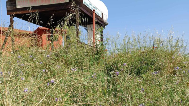 Μέρα με τη μέρα όλο και χειρότερα το Πυροφυλάκιο στο Ραντάρ της Περαίας